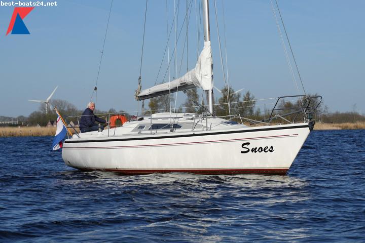 DEHLER 31 TOP